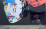 DR. SMOOD WYNWOOD / MURAL INSTALLATION / MIAMI / 2015